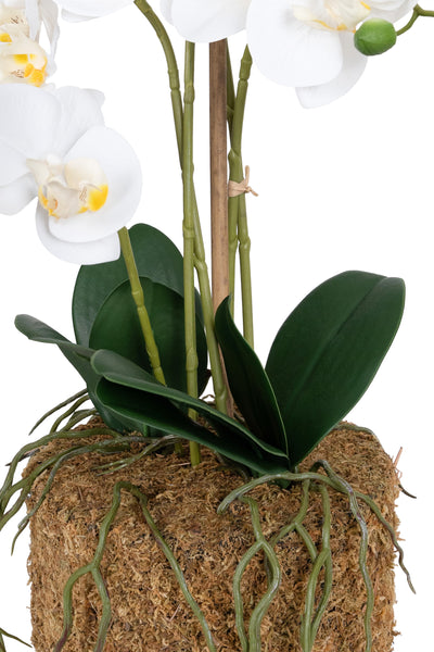 Orhidee artificiala alba cu aspect natural H59 cm cu 5 tulpini