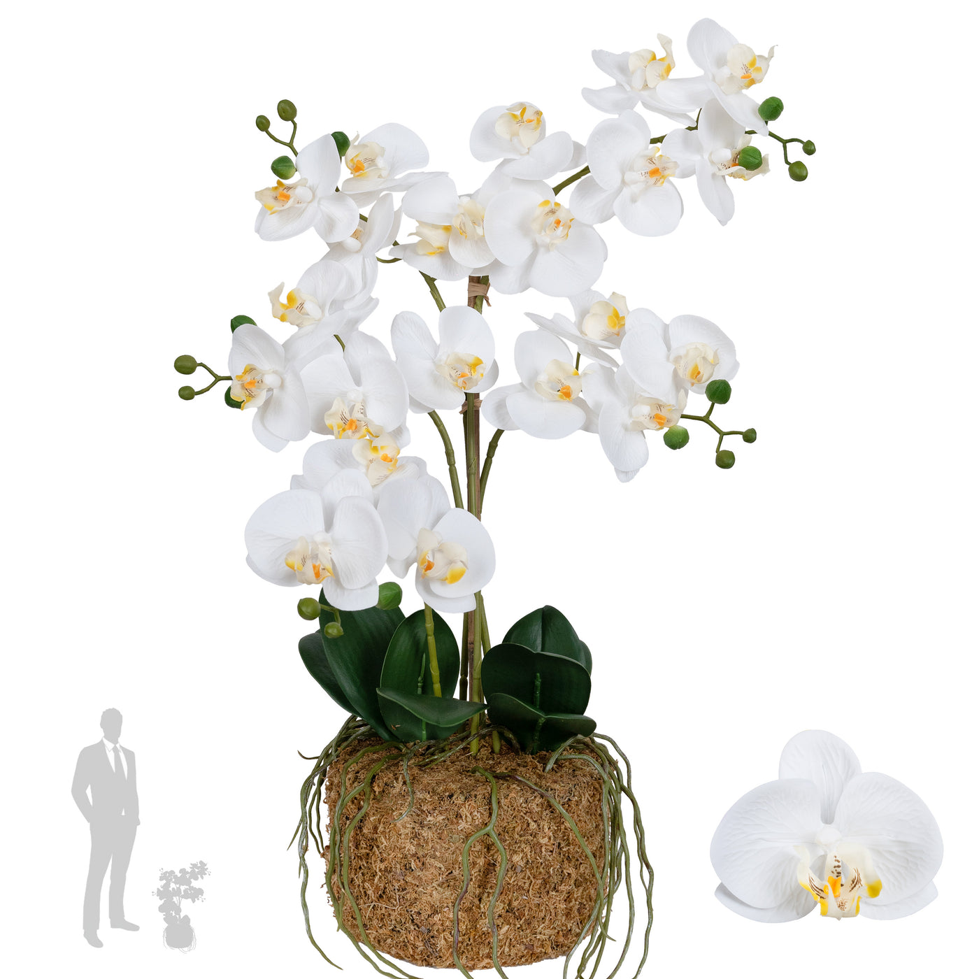 Orhidee artificiala alba cu aspect natural H59 cm cu 5 tulpini