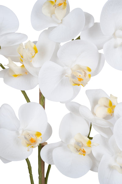 Orhidee artificiala alba cu aspect natural H59 cm cu 5 tulpini