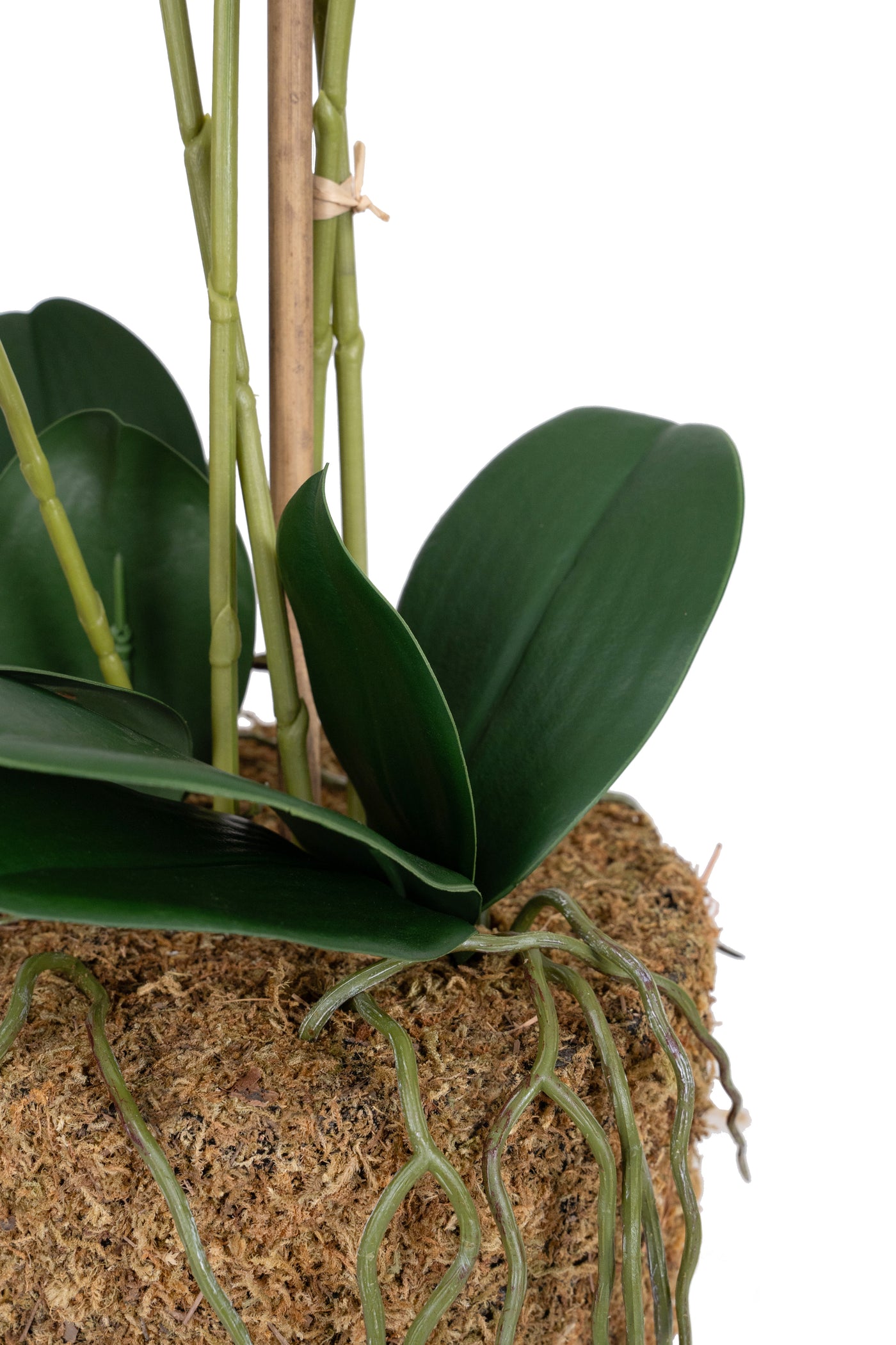 Orhidee artificiala alba cu aspect natural H59 cm cu 5 tulpini