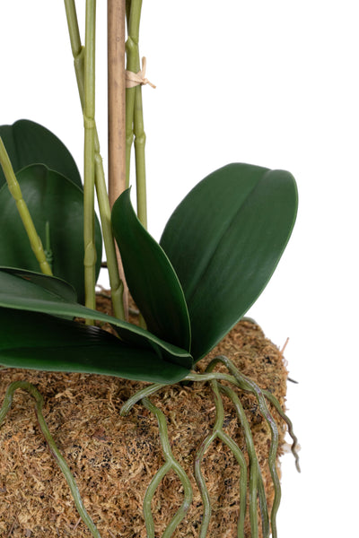 Orhidee artificiala alba cu aspect natural H59 cm cu 5 tulpini