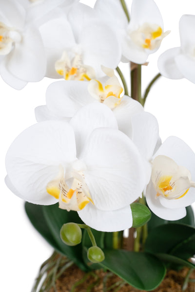 Orhidee artificiala alba cu aspect natural H59 cm cu 5 tulpini