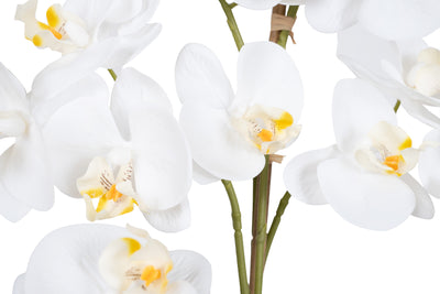 Orhidee artificiala alba cu aspect natural H59 cm cu 5 tulpini