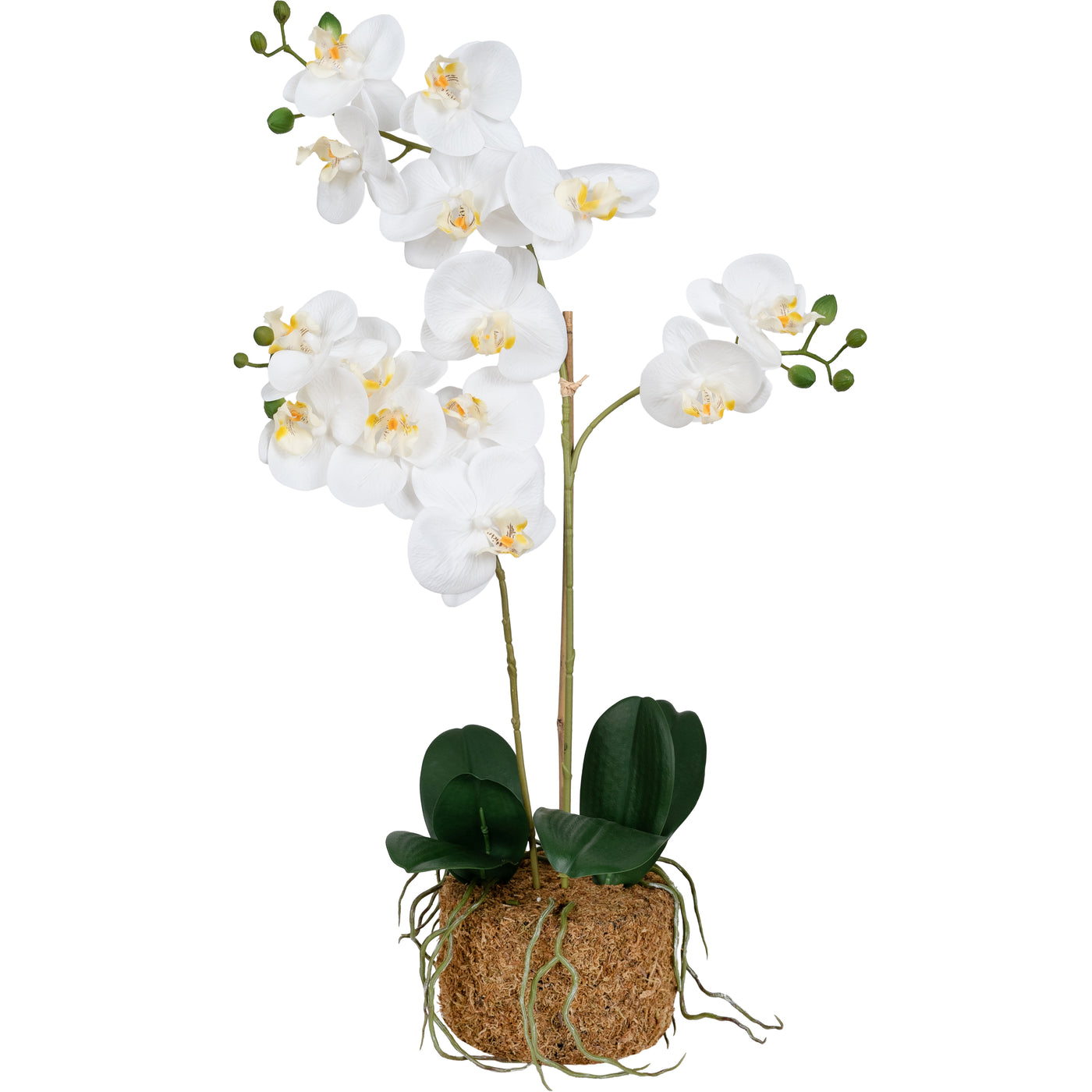 Orhidee artificiala alba cu aspect natural H60 cm cu 2 tulpini