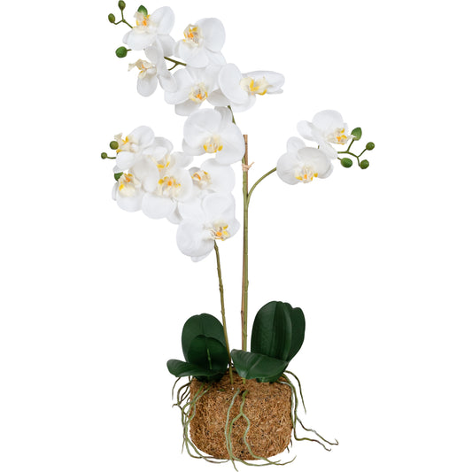 Orhidee artificiala alba cu aspect natural H60 cm cu 2 tulpini