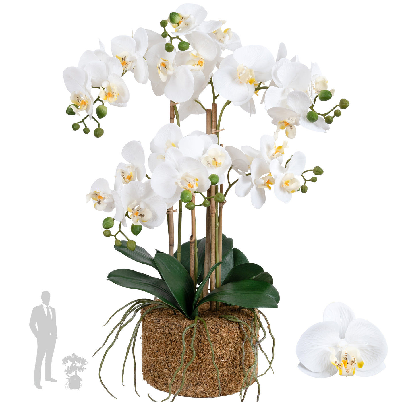 Orhidee artificiala alba cu aspect natural H62 cm cu 6 tulpini