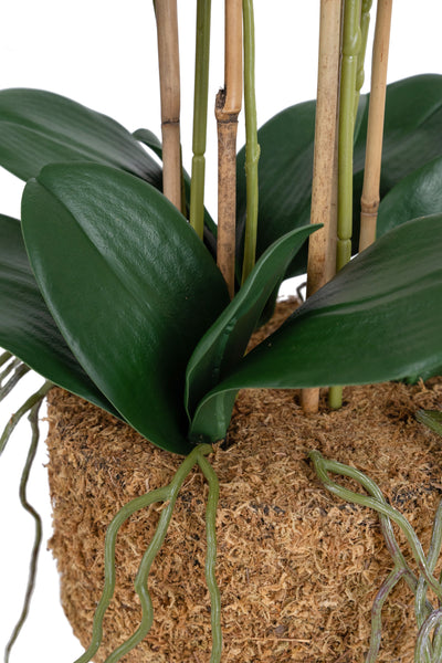 Orhidee artificiala alba cu aspect natural H62 cm cu 6 tulpini