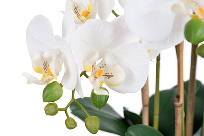 Orhidee artificiala alba cu aspect natural H62 cm cu 6 tulpini