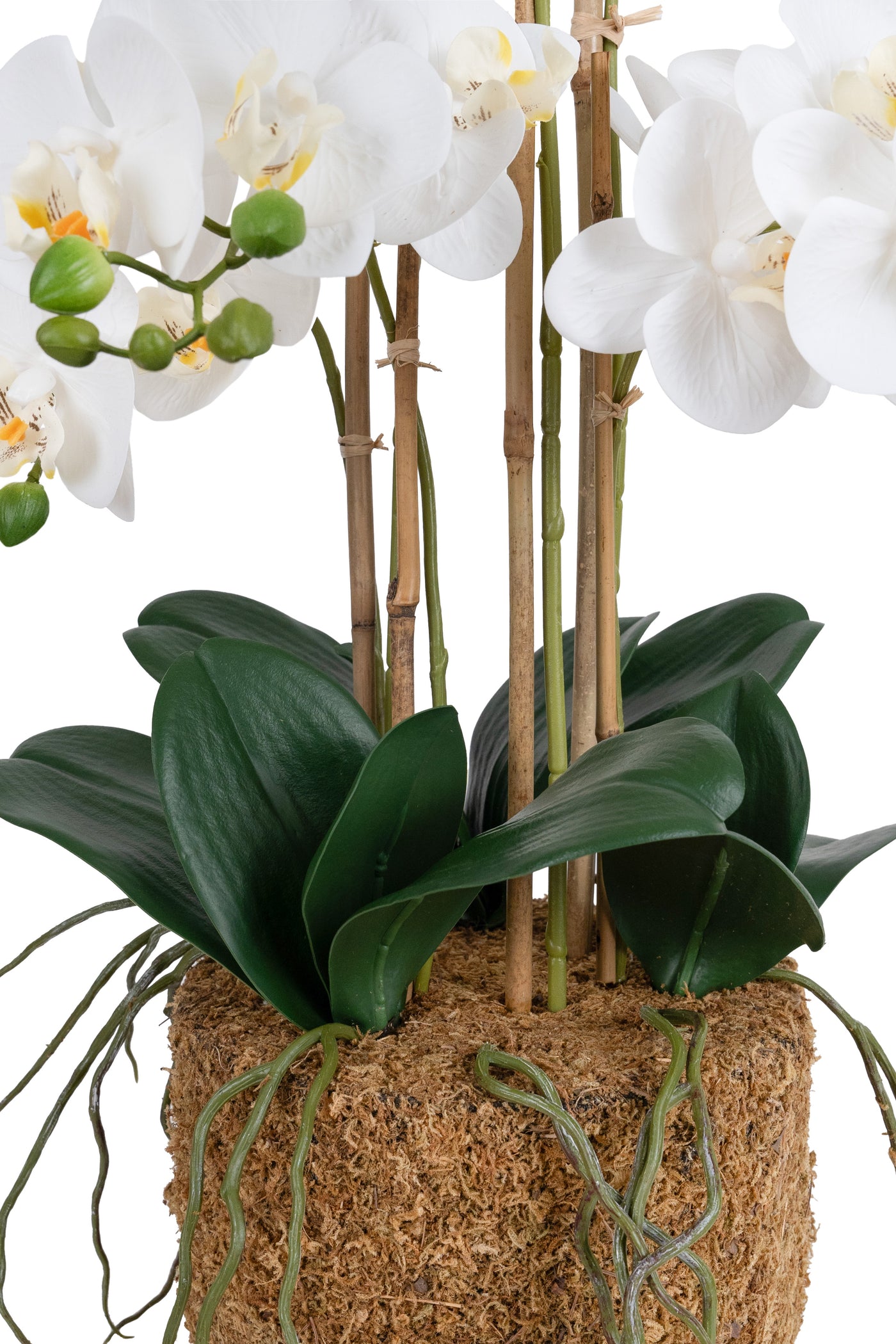 Orhidee artificiala alba cu aspect natural H62 cm cu 6 tulpini