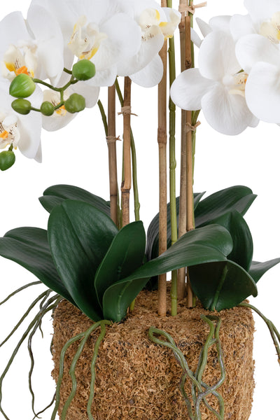 Orhidee artificiala alba cu aspect natural H62 cm cu 6 tulpini