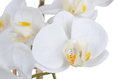 Orhidee artificiala alba cu aspect natural H64 cm cu 3 tulpini