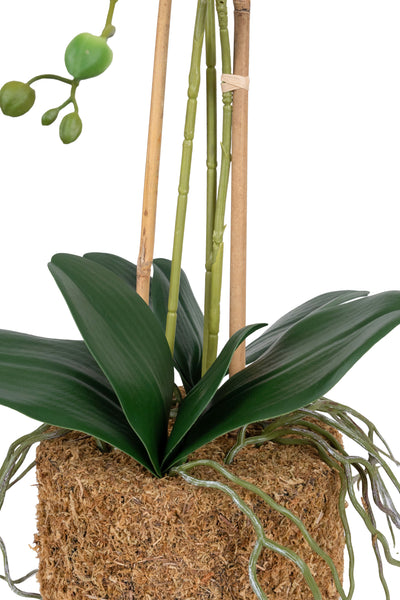 Orhidee artificiala alba cu aspect natural H64 cm cu 3 tulpini