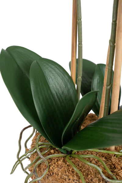 Orhidee artificiala alba cu aspect natural H65 cm cu 3 tulpini