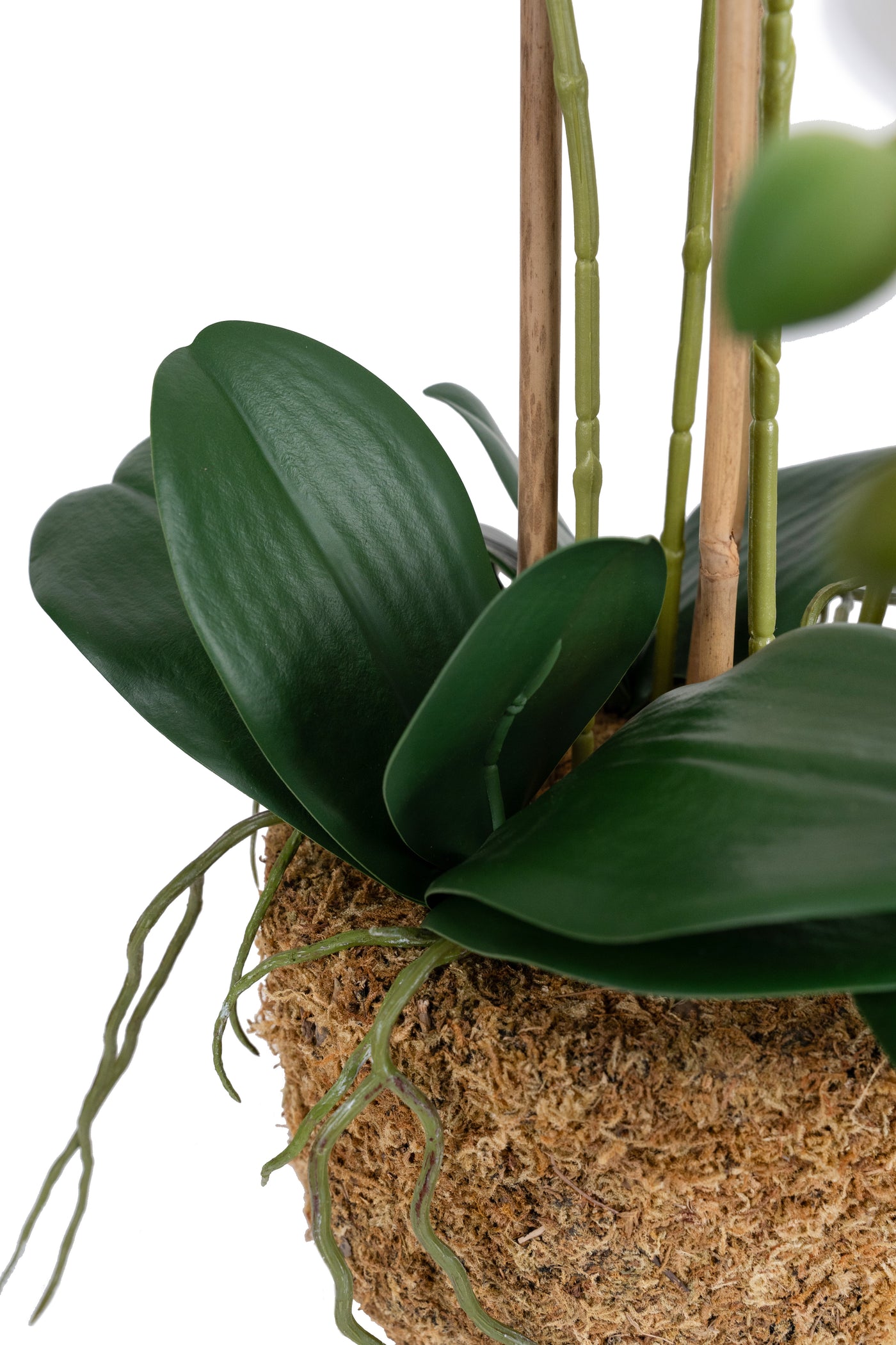 Orhidee artificiala alba cu aspect natural H66 cm cu 4 tulpini