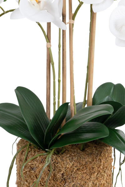 Orhidee artificiala alba cu aspect natural H66 cm cu 4 tulpini