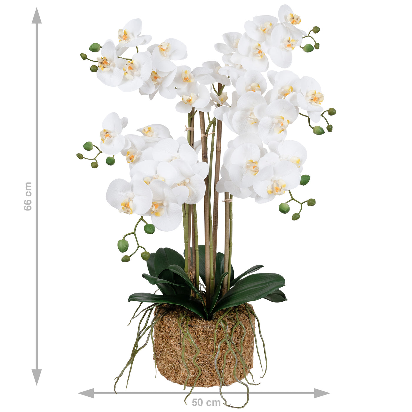 Orhidee artificiala alba cu aspect natural H66 cm cu 6 tulpini