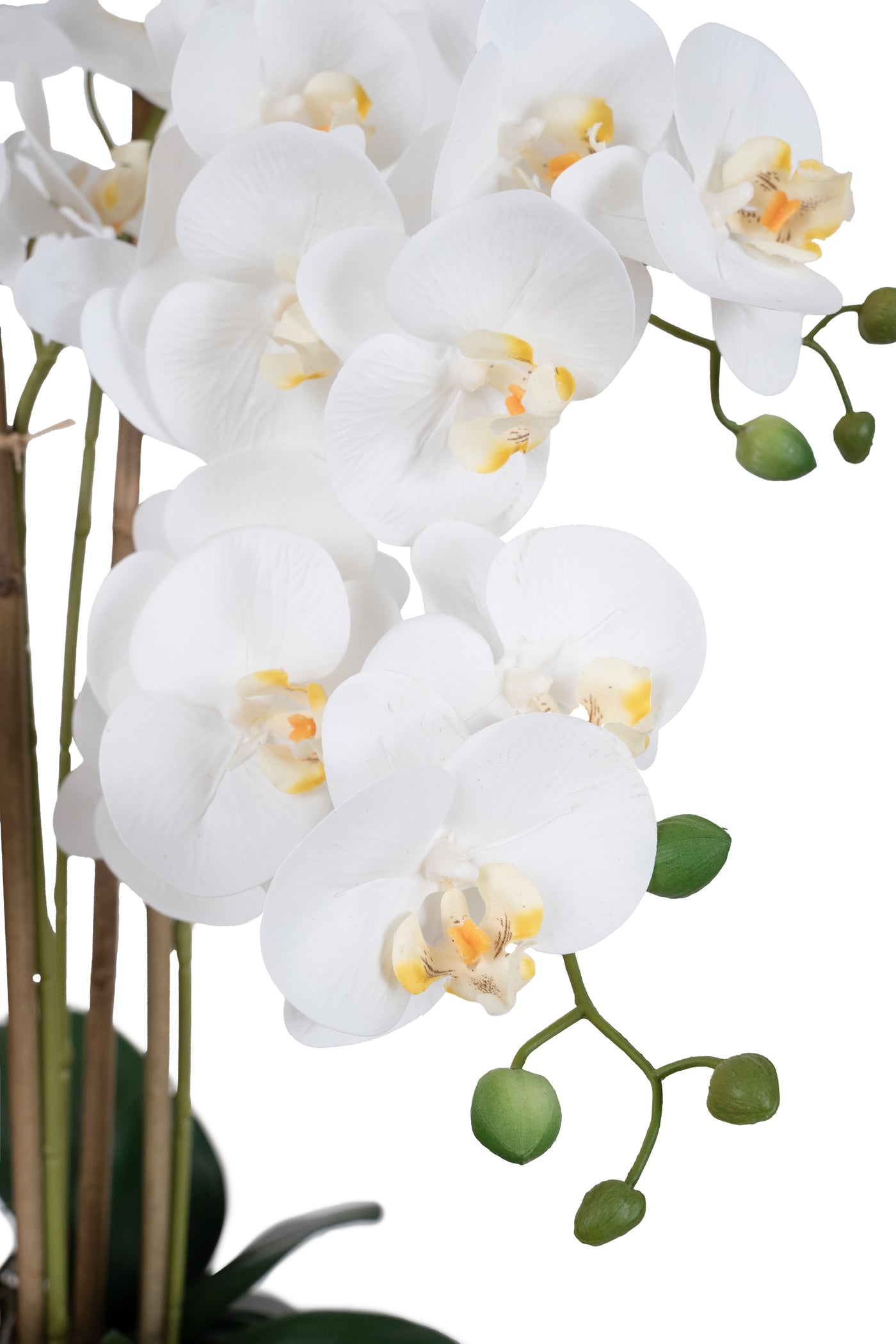 Orhidee artificiala alba cu aspect natural H66 cm cu 6 tulpini