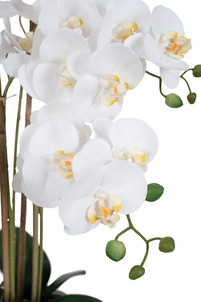 Orhidee artificiala alba cu aspect natural H66 cm cu 6 tulpini