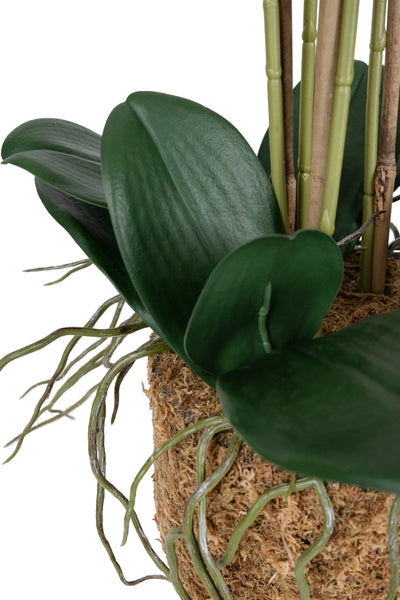 Orhidee artificiala alba cu aspect natural H66 cm cu 6 tulpini