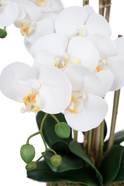 Orhidee artificiala alba cu aspect natural H66 cm cu 6 tulpini