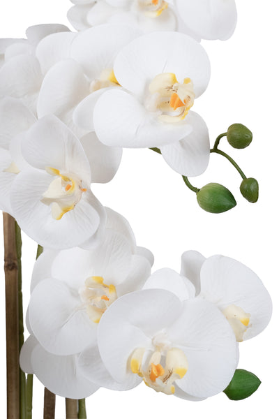 Orhidee artificiala alba cu aspect natural H66 cm cu 6 tulpini