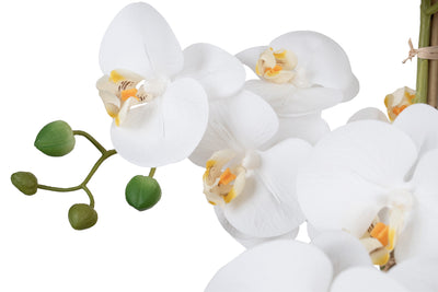 Orhidee artificiala alba cu aspect natural H66 cm cu 6 tulpini