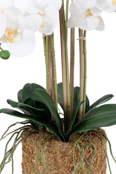 Orhidee artificiala alba cu aspect natural H66 cm cu 6 tulpini