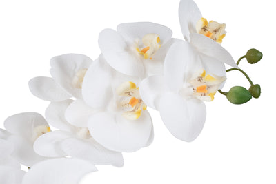 Orhidee artificiala alba cu aspect natural H66 cm cu 6 tulpini