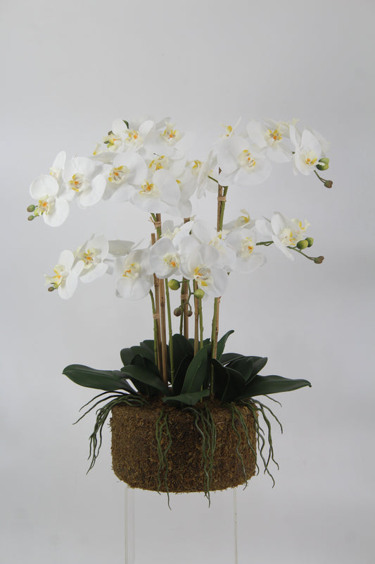 Orhidee artificiala alba cu aspect natural H66 cm cu 6 tulpini