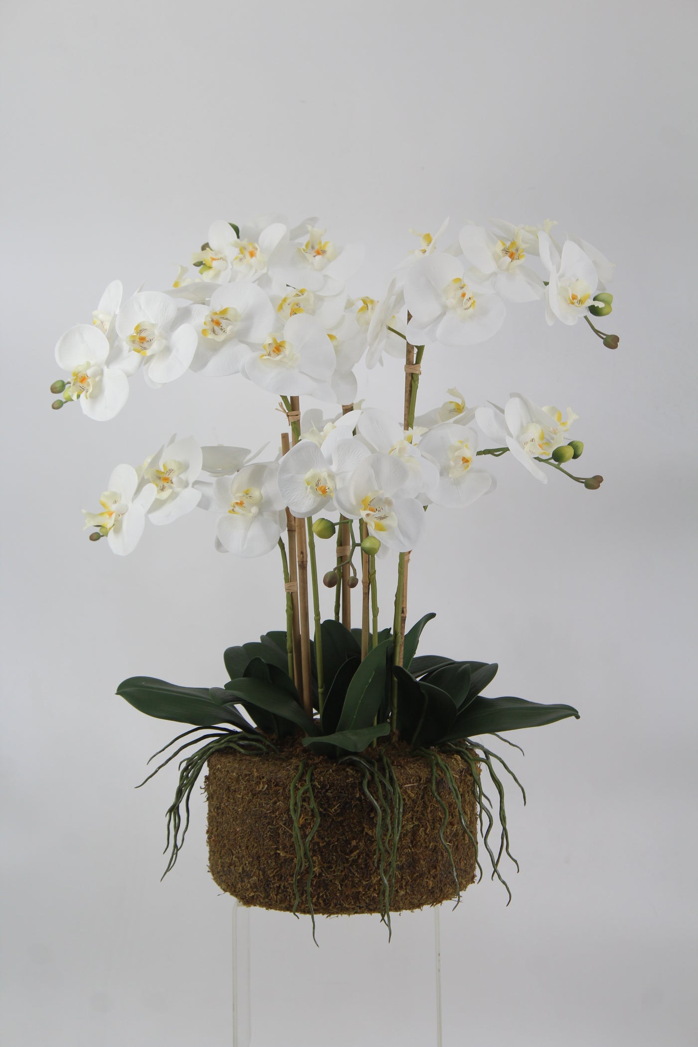 Orhidee artificiala alba cu aspect natural H66 cm cu 6 tulpini