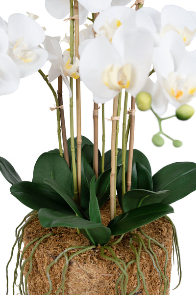 Orhidee artificiala alba cu aspect natural H66 cm cu 7 tulpini