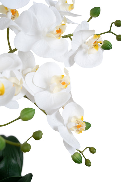 Orhidee artificiala alba cu aspect natural H66 cm cu 9 tulpini