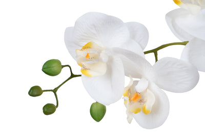 Orhidee artificiala alba cu aspect natural H66 cm cu 9 tulpini