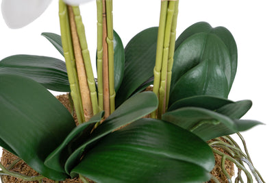 Orhidee artificiala alba cu aspect natural H66 cm cu 9 tulpini