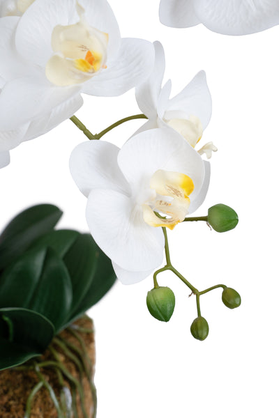 Orhidee artificiala alba cu aspect natural H66 cm cu 9 tulpini