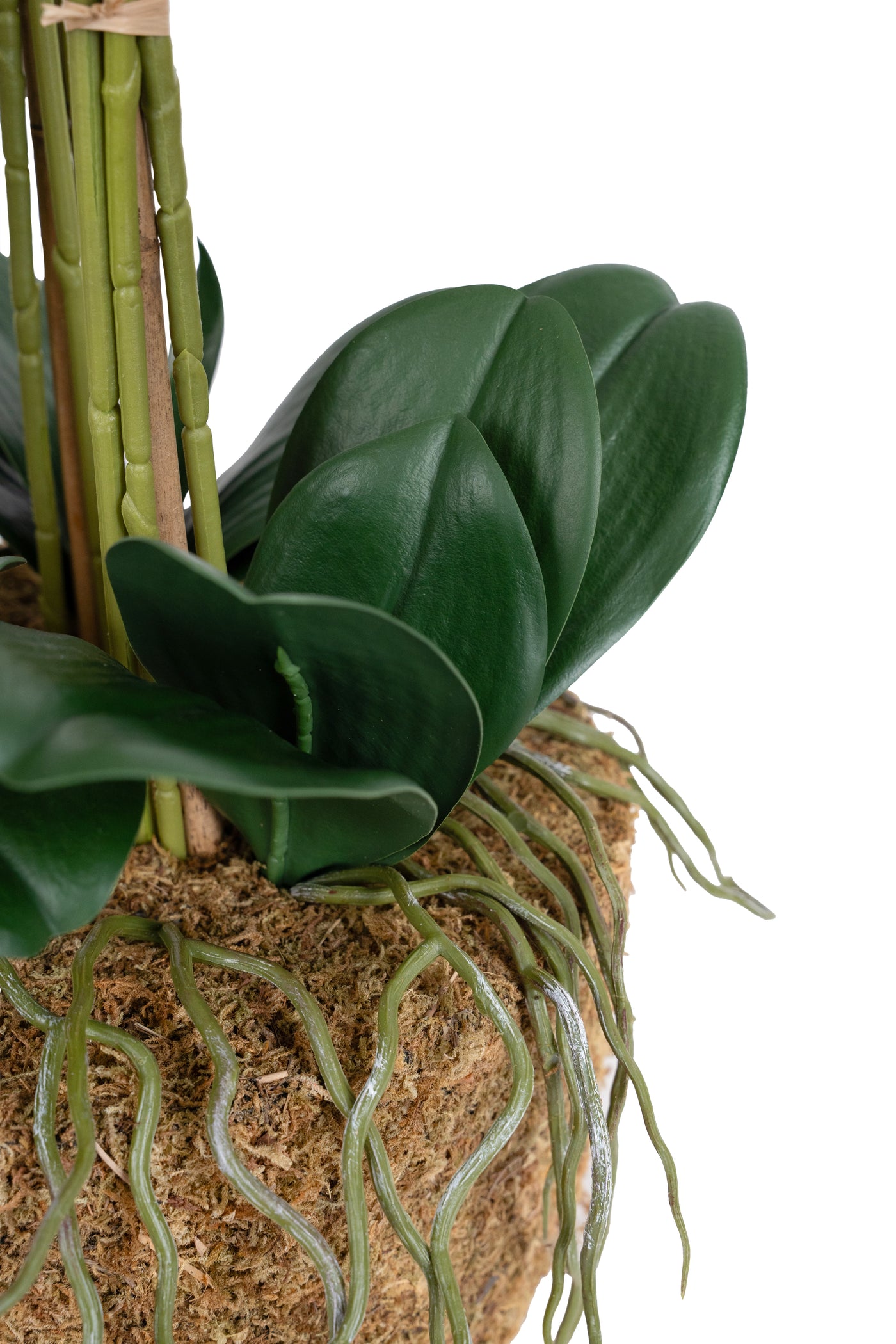 Orhidee artificiala alba cu aspect natural H66 cm cu 9 tulpini