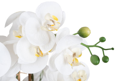 Orhidee artificiala alba cu aspect natural H68 cm cu 9 tulpini