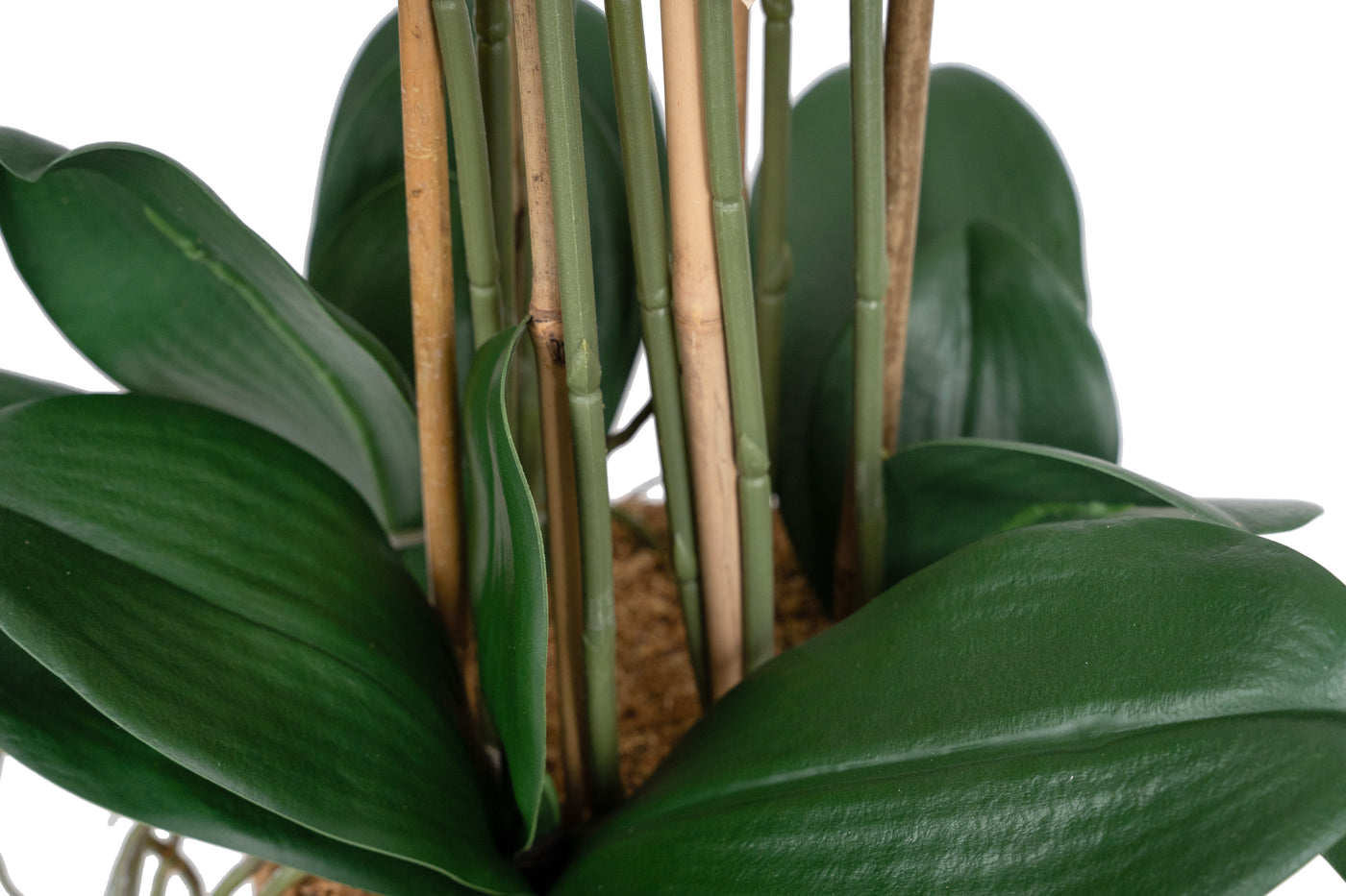 Orhidee artificiala alba cu aspect natural H68 cm cu 9 tulpini