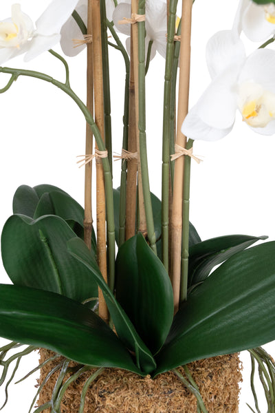 Orhidee artificiala alba cu aspect natural H68 cm cu 9 tulpini