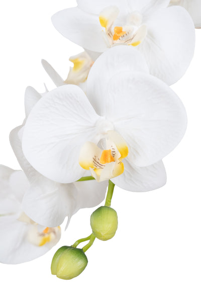 Orhidee artificiala alba cu aspect natural H69 cm cu 5 tulpini