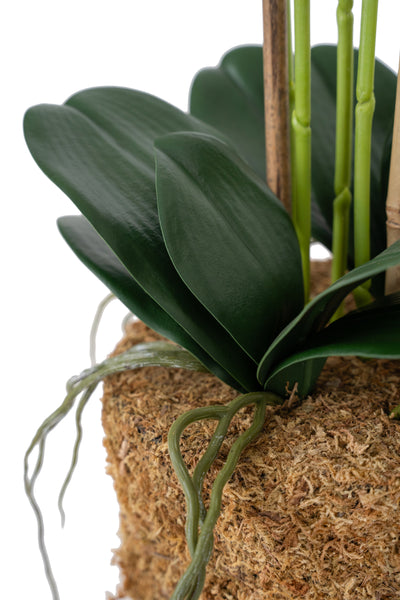 Orhidee artificiala alba cu aspect natural H69 cm cu 5 tulpini