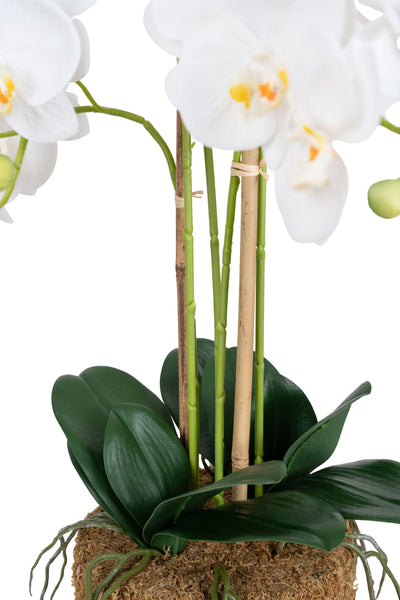 Orhidee artificiala alba cu aspect natural H69 cm cu 5 tulpini