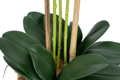 Orhidee artificiala alba cu aspect natural H69 cm cu 5 tulpini