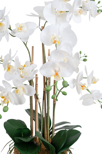 Orhidee artificiala alba cu aspect natural H70 cm cu 7 tulpini