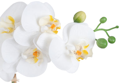 Orhidee artificiala alba cu aspect natural H70 cm cu 7 tulpini