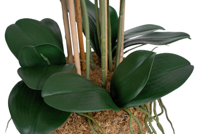 Orhidee artificiala alba cu aspect natural H70 cm cu 7 tulpini
