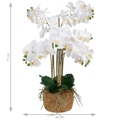Orhidee artificiala alba cu aspect natural H71 cm cu 6 tulpini
