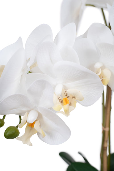 Orhidee artificiala alba cu aspect natural H71 cm cu 6 tulpini