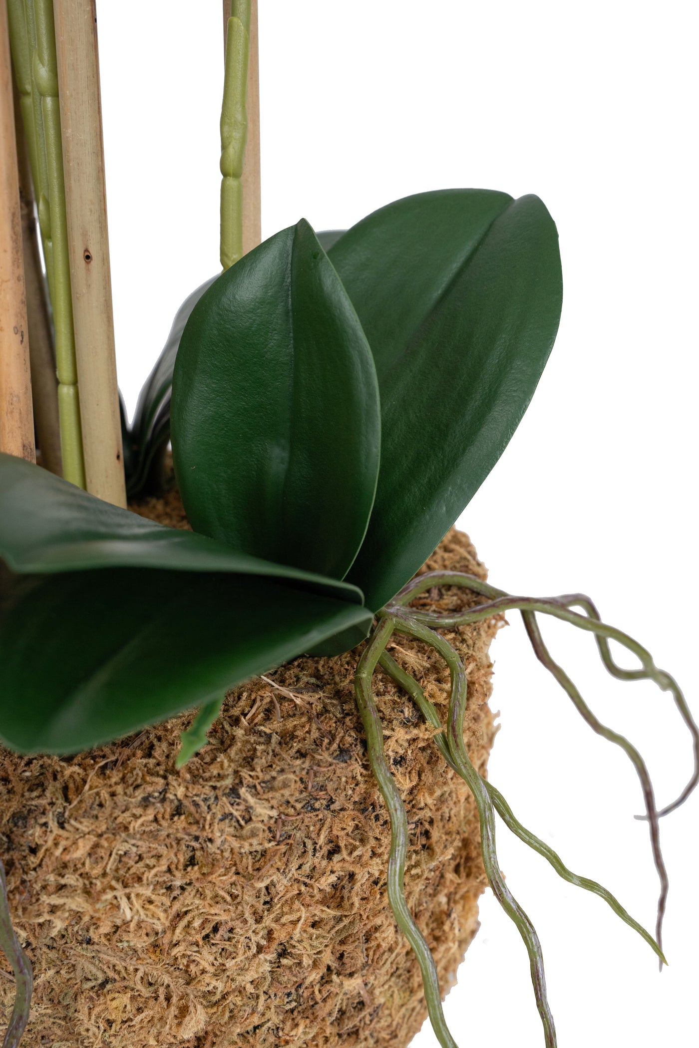 Orhidee artificiala alba cu aspect natural H71 cm cu 6 tulpini