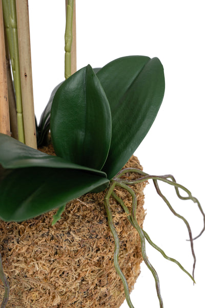 Orhidee artificiala alba cu aspect natural H71 cm cu 6 tulpini